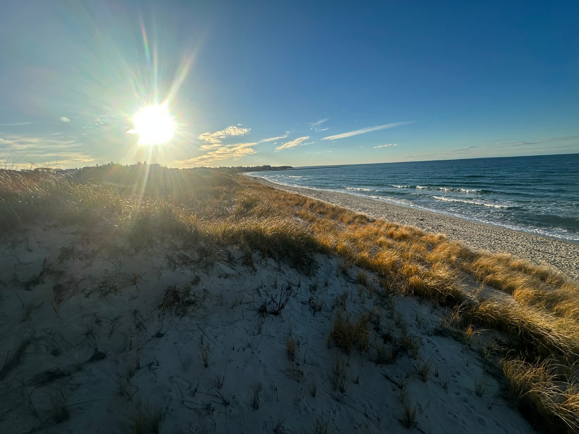 Low winter sun over dune grass and open shoreline on the New England coast